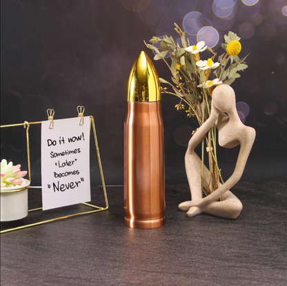 Insulated Bullet Thermo Bottle